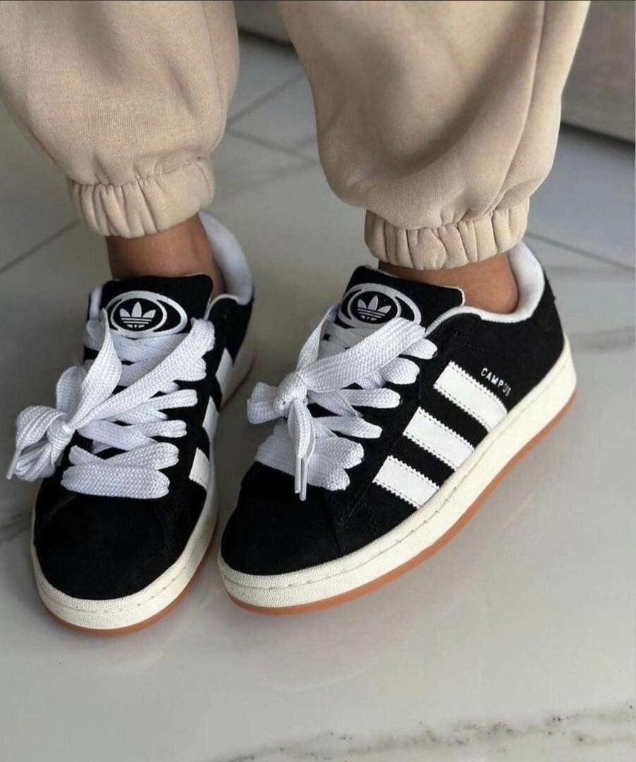 Baskets Campus Originals