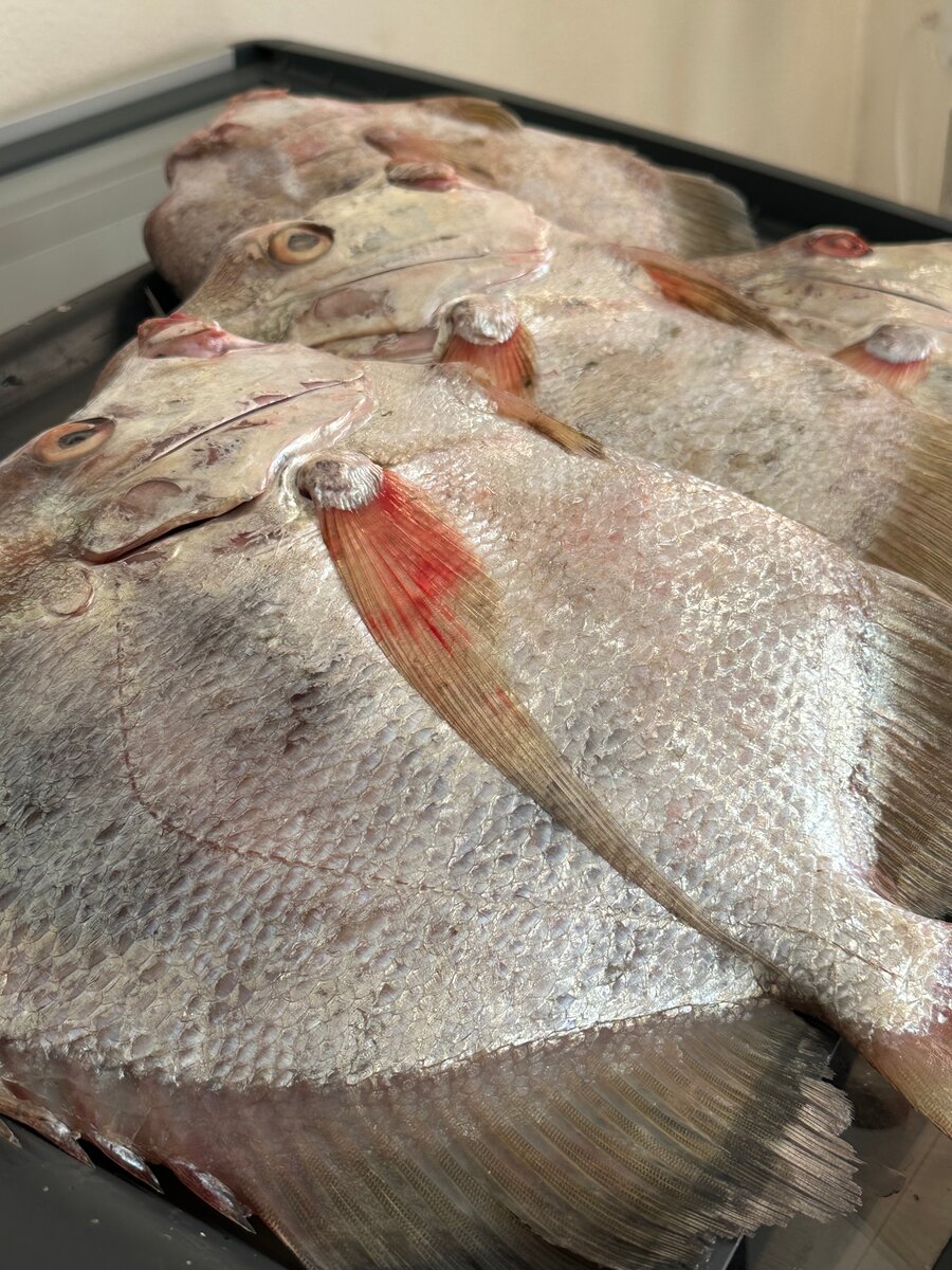 StPierre local Poisson de mer