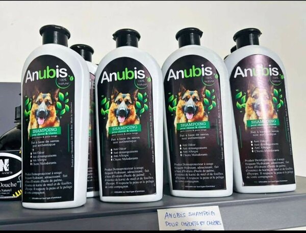Shampooing Anubis pour Chiens