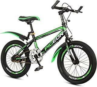 Vélo Pigeon 20" Enfant