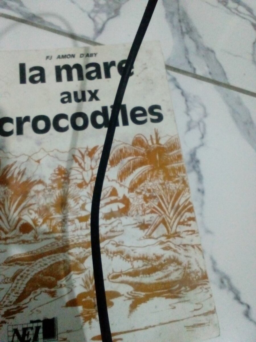 La mare aux crocodiles