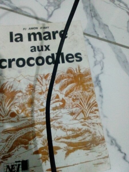 La mare aux crocodiles