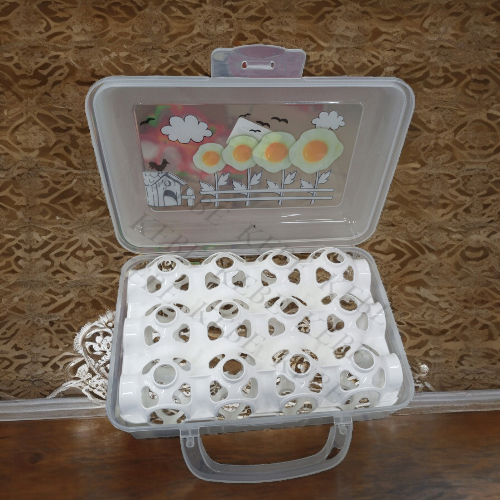 Boîte à œufs en plastique