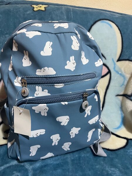 Sacs à dos mignons colorés