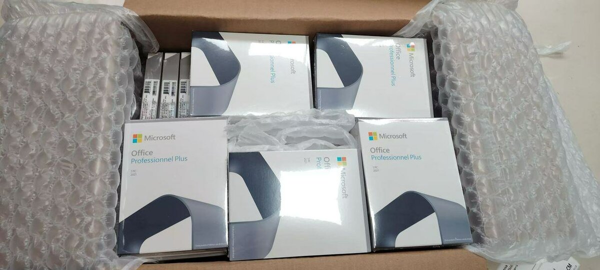 Microsoft Office Professional Plus