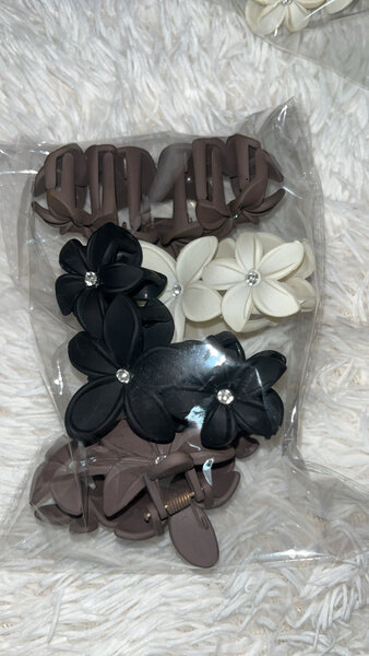 Ensemble 4 pinces à cheveux