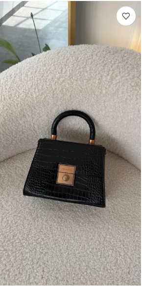 Golda Black mini Handbag