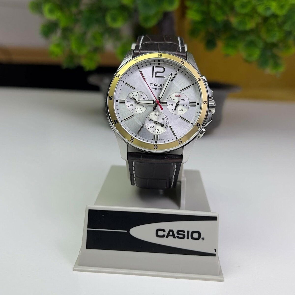 Montre Homme Casio Élégante