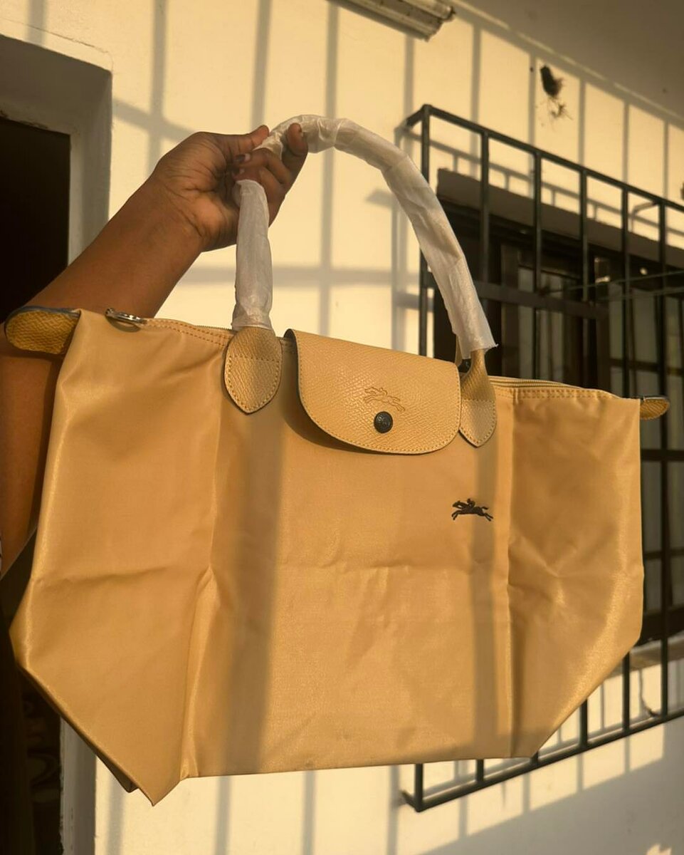 Sac à main beige longchamp L