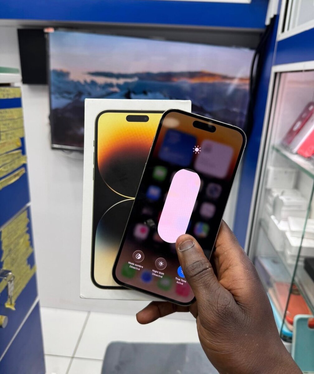 iPhone 14 Pro Max 256GB Argent