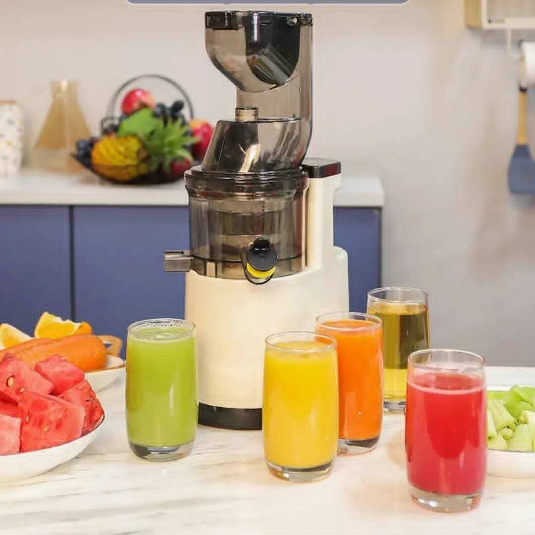 Extracteur de Jus Pro Puissant
