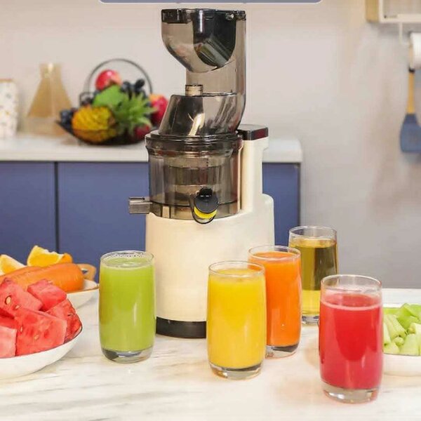 Extracteur de Jus Pro Puissant