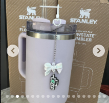 Stanley Cup Accessories