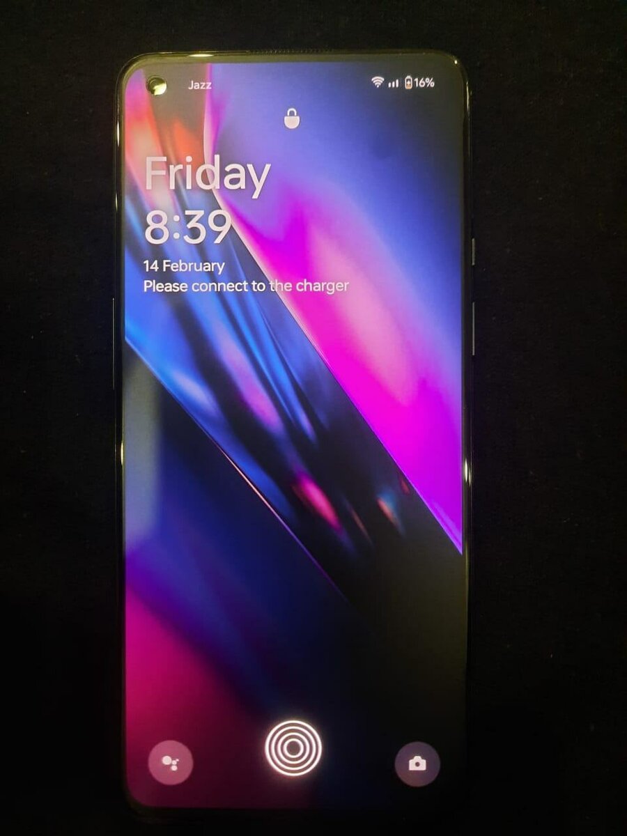 Oneplus 9 with genuine charger