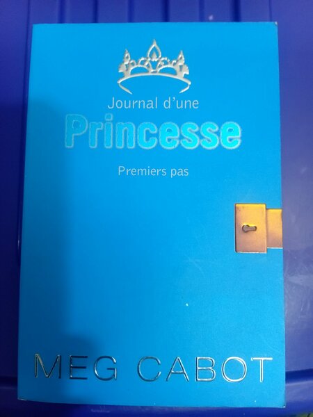Journal d'une Princesse
