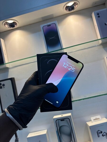 iPhone 12 Pro Max Gris