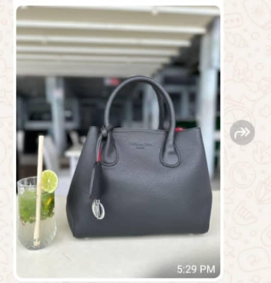 Women's stylish bag