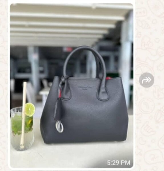 Women's stylish bag