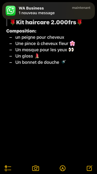 Kit de Soin Capillaire avec Accessoires Beauté