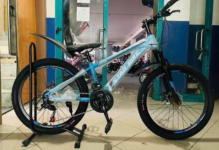 Vélo tout terrain Altrix