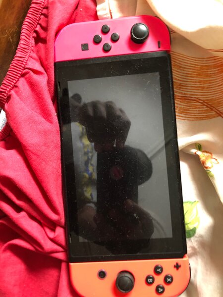 Nitendo swicth normal