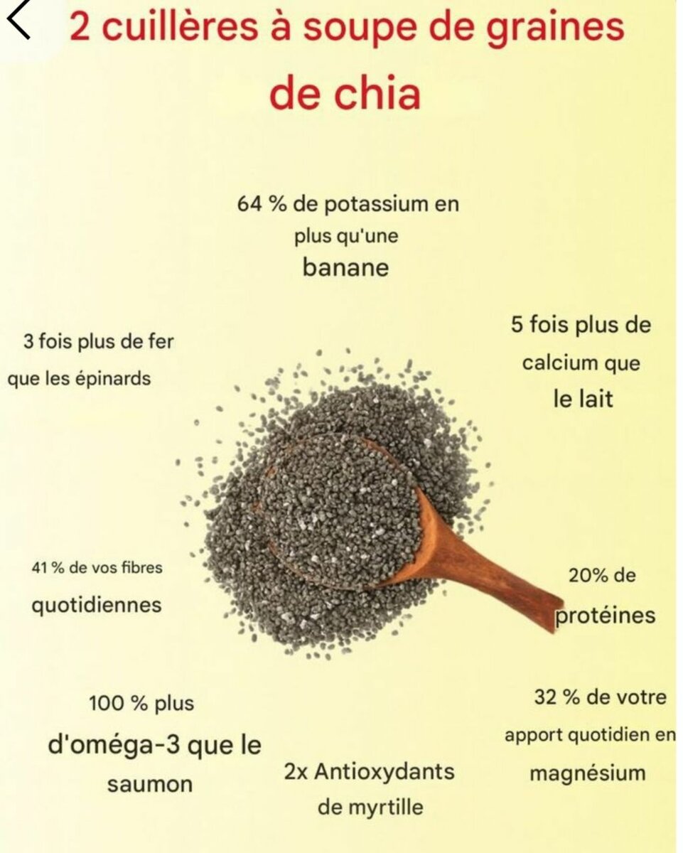 Graine de chia bio premium