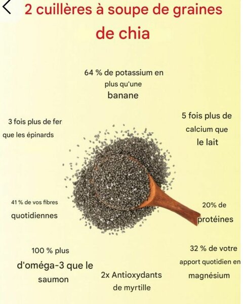 Graine de chia bio premium