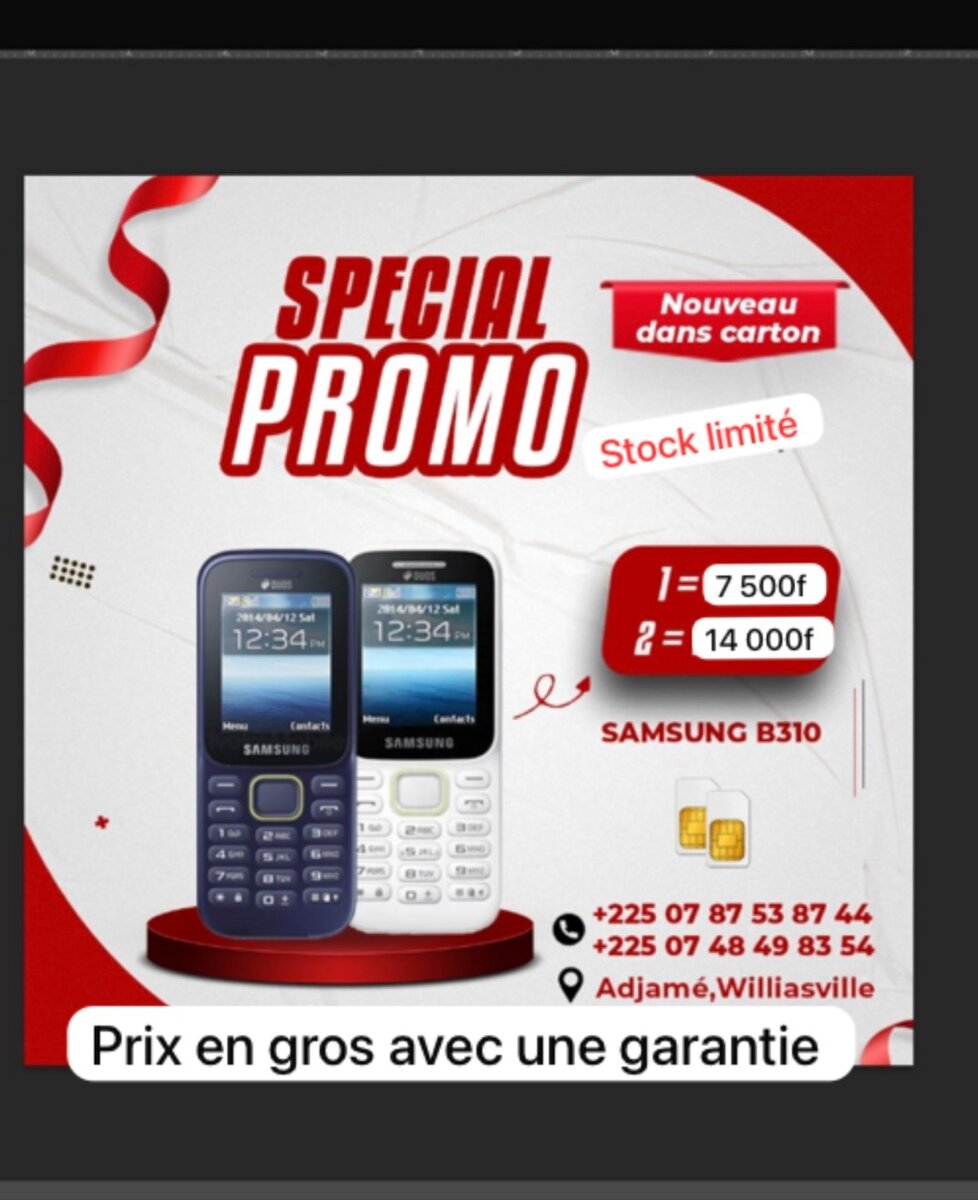 Téléphone Samsung B310