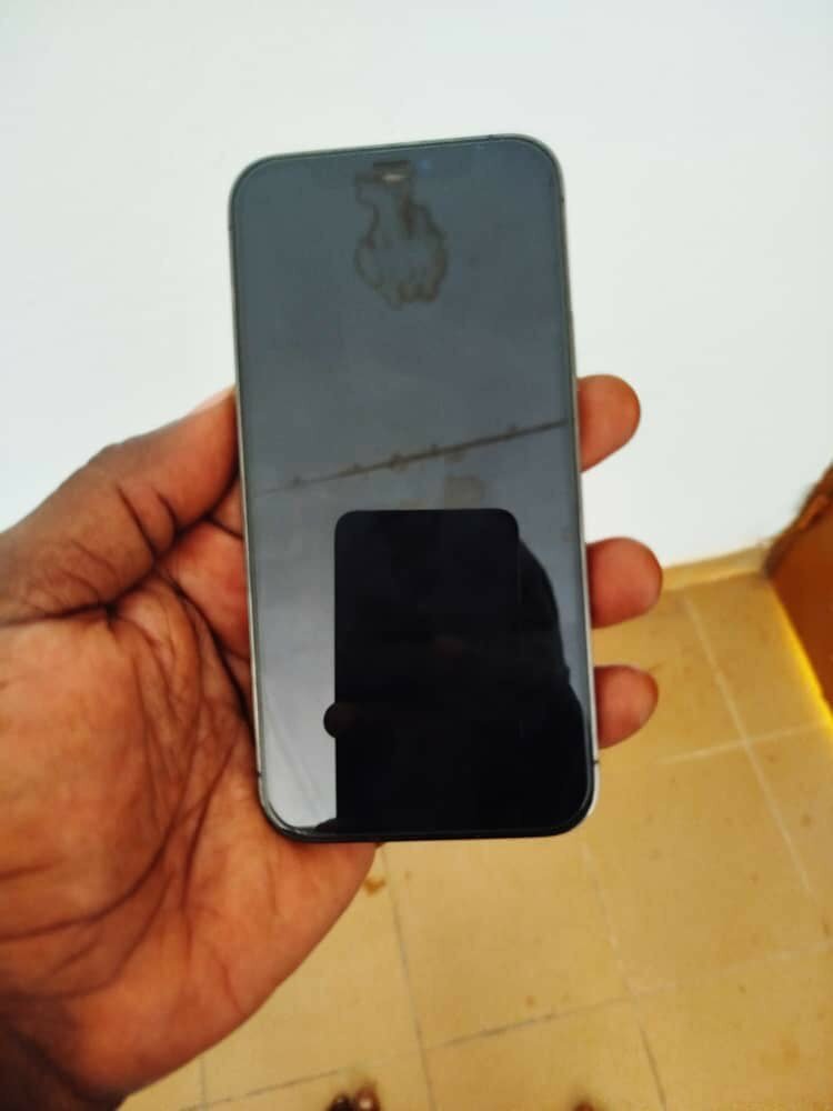 iPhone 12 Pro Max Gris