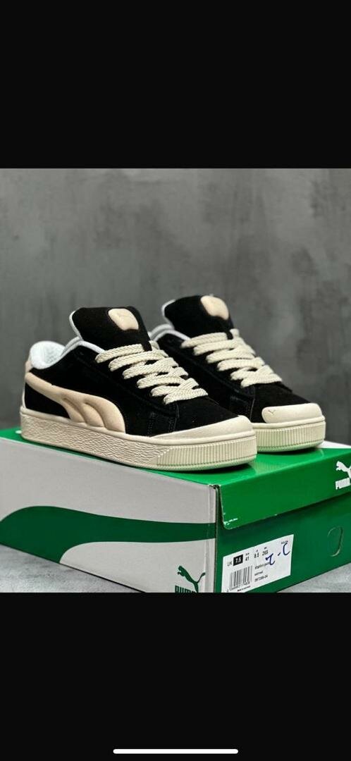 Sneakers stylées pour tous