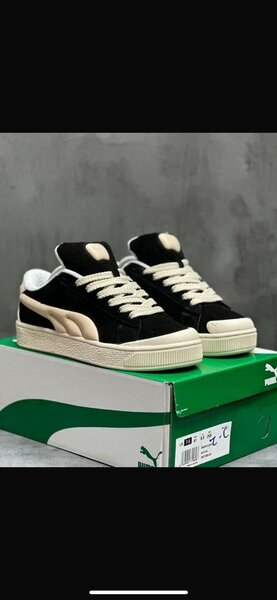 Sneakers stylées pour tous