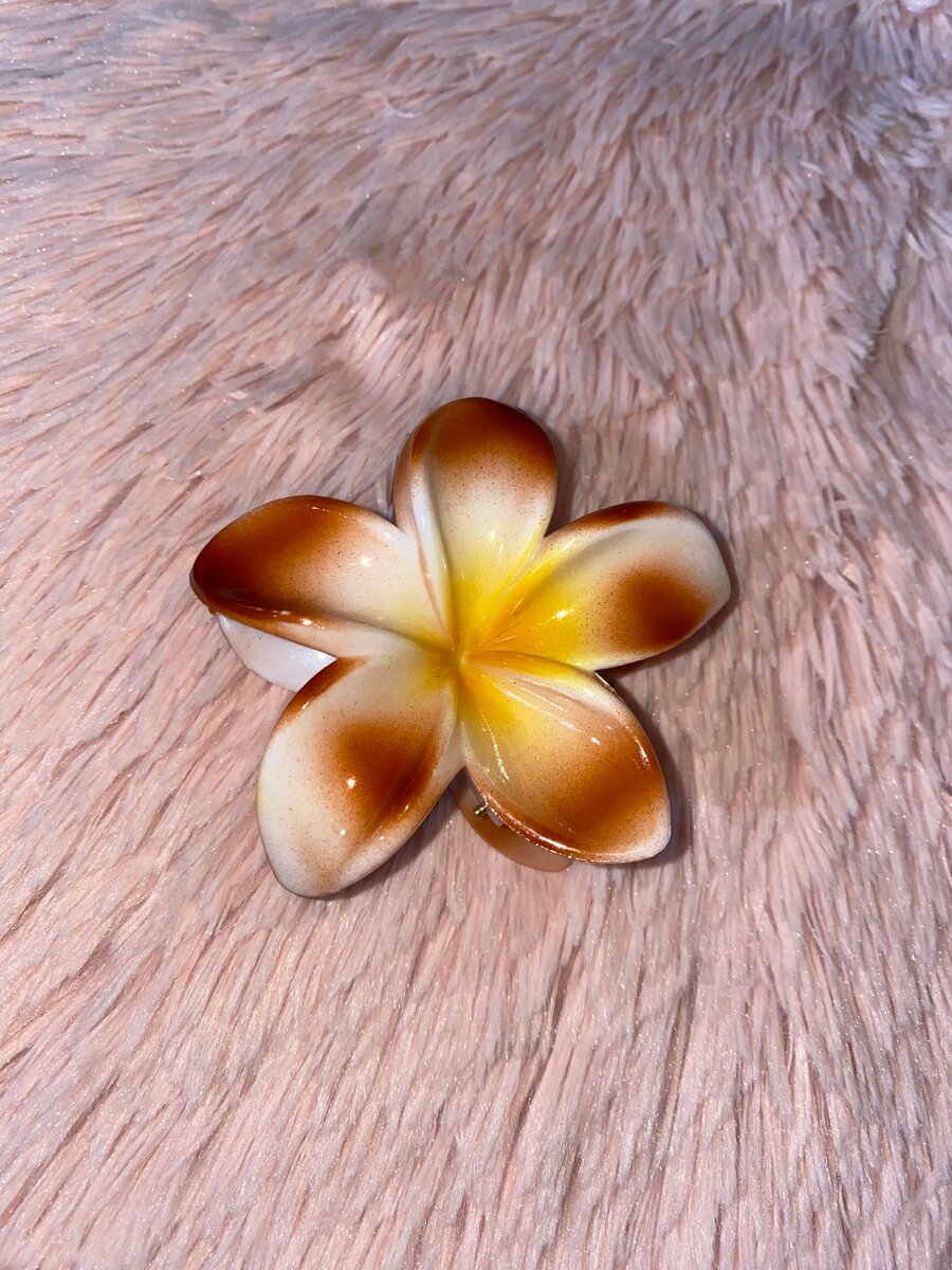 Pinces à cheveux fleurs tropicales