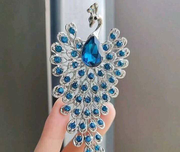 Broches élégants et scintillants