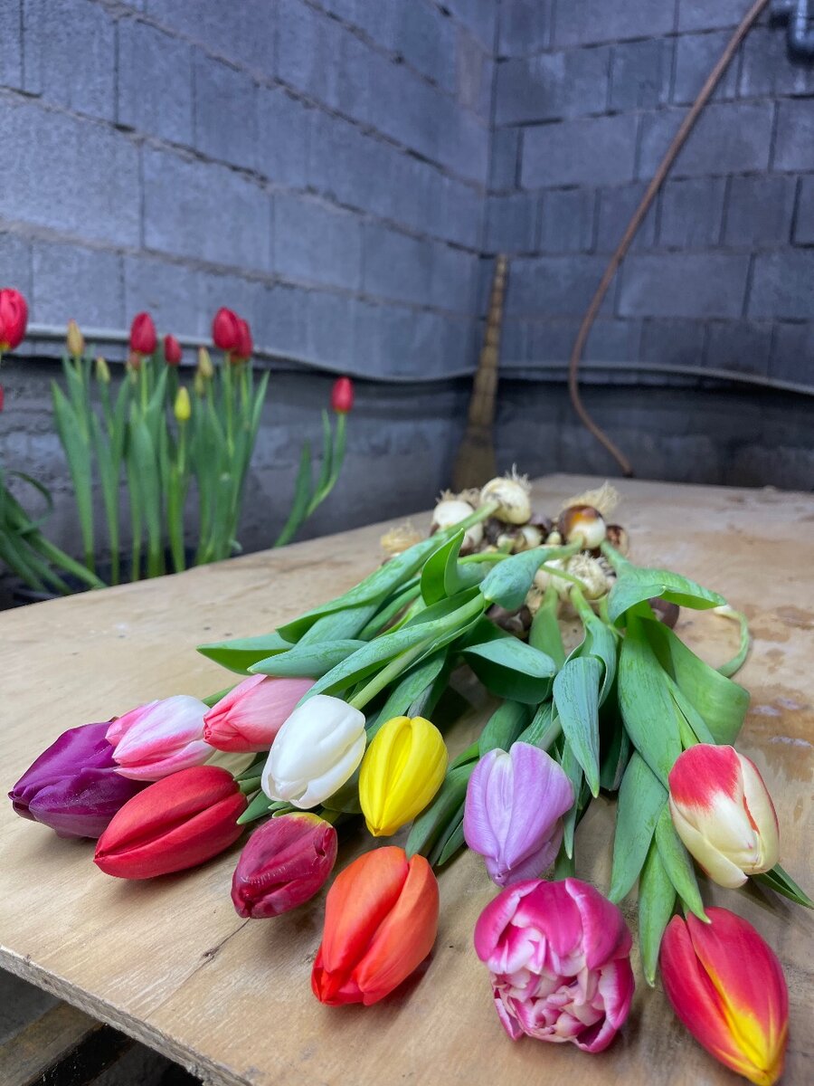 Цветы от производителя