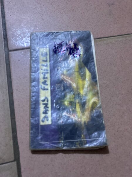 Livre "Sans Famille"