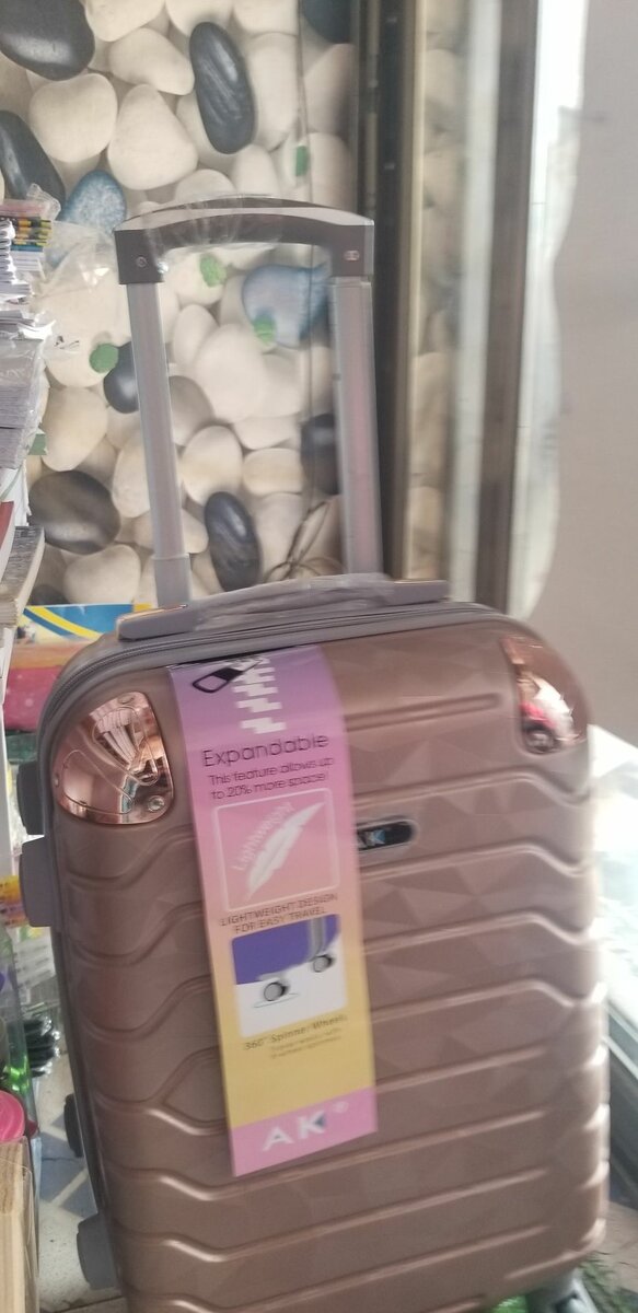 Traveling expandable bag
