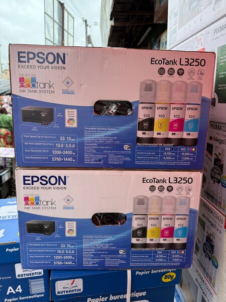 Imprimante Epson EcoTank L3250
