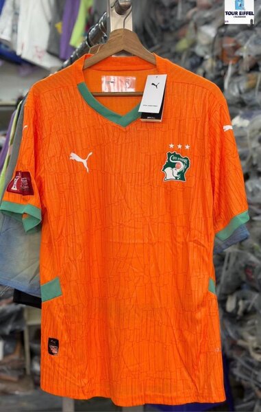 Maillot Côte d'Ivoire Puma