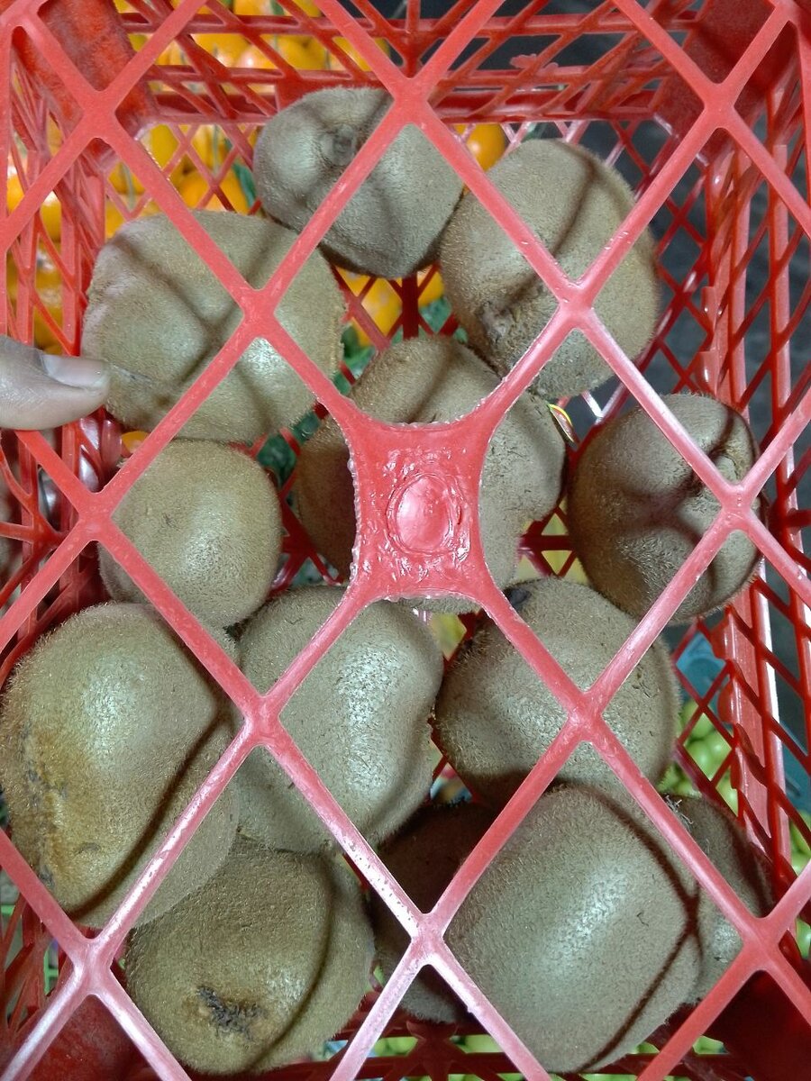 Kiwi 1 kg