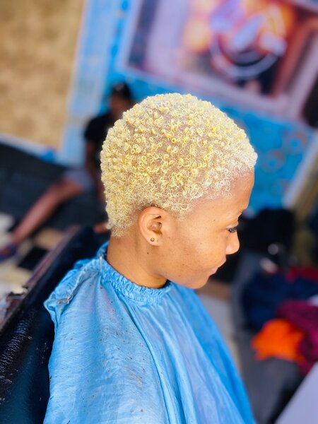 Ladies Haircut and Dye