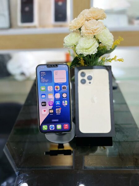 13 pro jamais démonter très pr