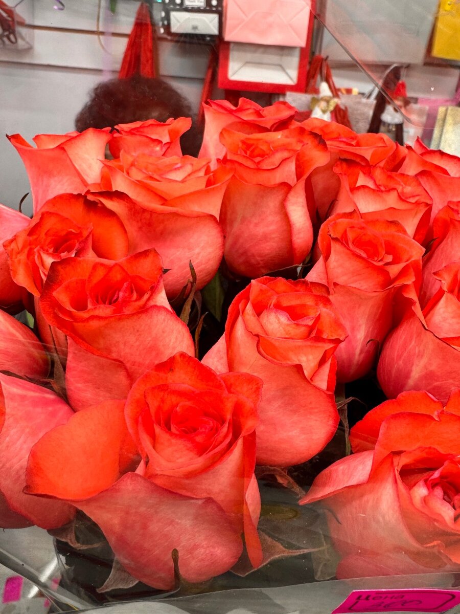 Шикарные Голландские Розы