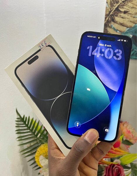 iPhone 14 Pro Max 256 Go