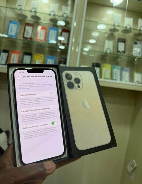 iPhone 13 Pro Max Or