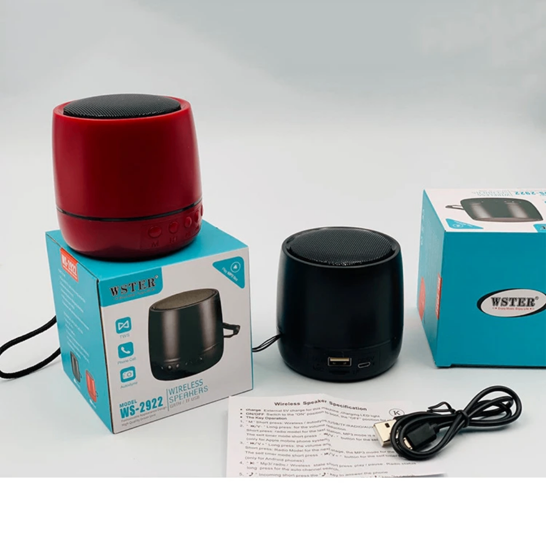 Enceinte Bluetooth Wster WS-2922