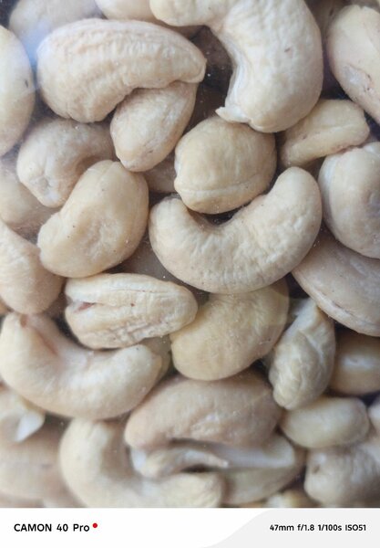 Assortiment de noix savoureuses