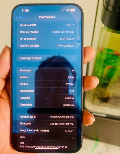 iPhone 13 Pro Max 256GB