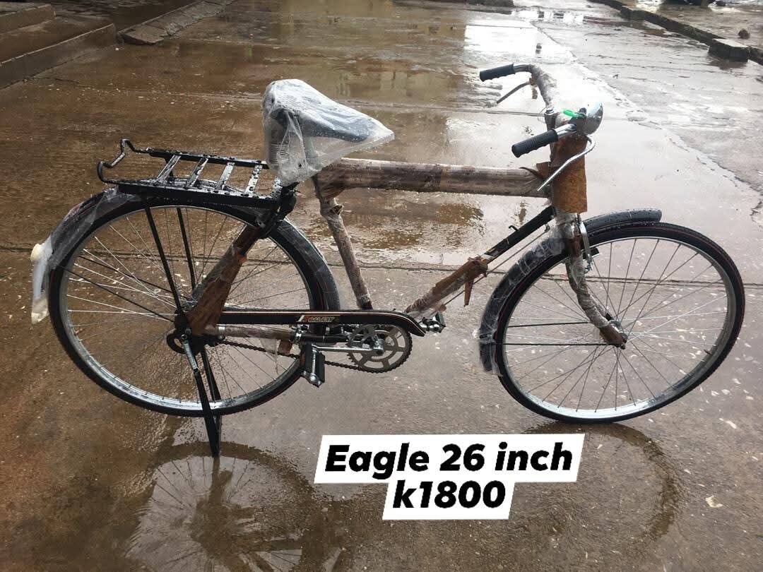 Eagle / Atlus bikes