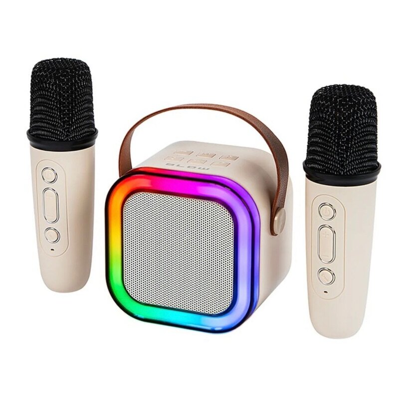 Portable karaoke  speaker and microphone