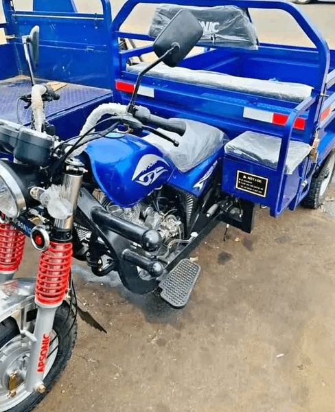 Tricycle de Transport Bleu